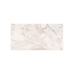 ??????? PORCEL.60X120 PUL. CR.PISA GOLD PAMESA