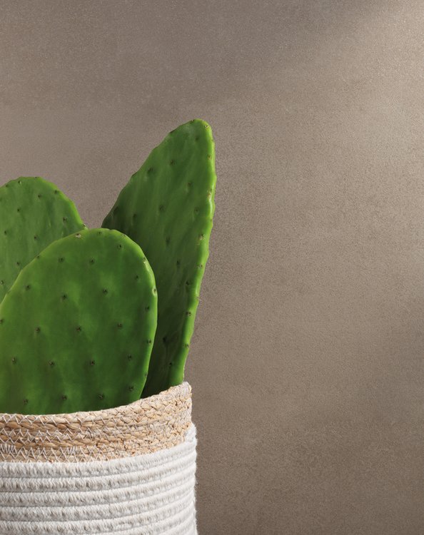 generated fap summer 2020 B05 StilLife wr.jpg.0x750 q85 crop upscale