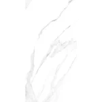 arena soft light 141cc11 828p (1)