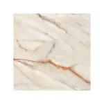 beige rosetta 60x60 2