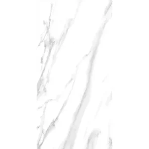 carrara 109cc11 828p 60x120 1