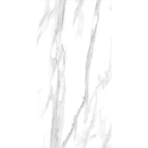 carrara 109cc11 828p 60x120 2