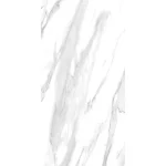 carrara 109cc11 828p 60x120 3