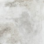 dafne gris 80x80 2
