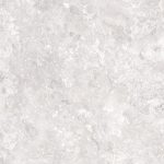 moon gris 59.6x59.6 5