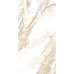 renoir brown 60x120 1