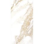 renoir brown 60x120 2