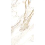 renoir brown 60x120 3