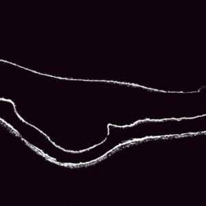 CANDIA PREMIUM MARQUINA MARBLE 60X120 SUPER POLISHED RET 2