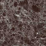 Candia Red Imperial Marble 1