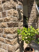 Rock Face Κίτρο 8