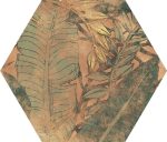 hexa maison flora 23x27 5