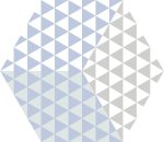 hexa peonia azul 23x27 2