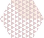 hexa peonia roza 23x27 2