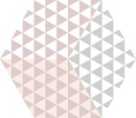 hexa peonia roza 23x27 3