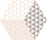 hexa peonia roza 23x27 4