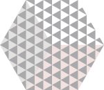 hexa peonia roza 23x27 6