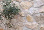Rock Face Μελάνθη - Image 8