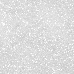 santa monica 25x25 1