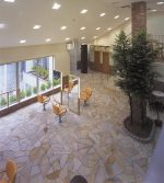 Ακανόνιστη Γεράνι 4