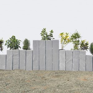 Πρέκια Βακτρίς 2