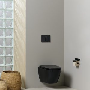 πλακετα διπλης λειτουργιας roca ps4 A890221306 2