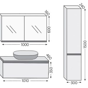 3SVCS100AWL royal bath 2 min