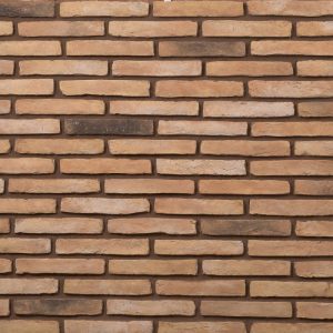 Colonial Brick Amber mathios 1