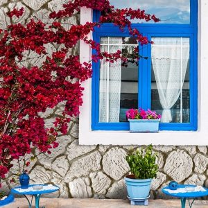 Terra Cream mathios 3 min