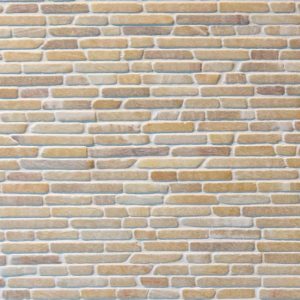 Όνυχας Φιλέτο Δίχτυ 1,5cm ακρολιθος 1