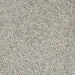 Βότσαλο Δίχτυ Πάγου ακρολιθος 1