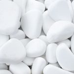 Κροκάλα Θάσου ακρολιθος 1