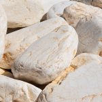 Κροκάλα Μελάνθη ακρολιθος 1