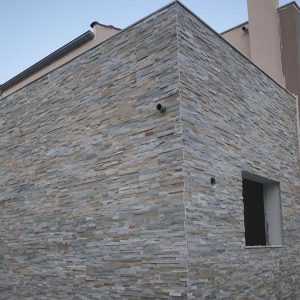 Πάνελ Μετάξι ακρολιθος 6