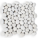 Πέπλες Λευκές Δίχτυ ακρολιθος 1