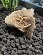 Ψηφίδα Λάβα Μαύρη ακρολιθος 2