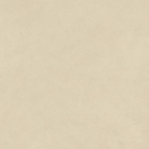 AQ8V AtlasConcorde BoostNaturalPro Oat 120x120 Matt 8 2 min (1)