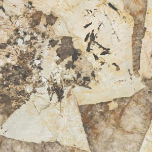 Marvel Gala Desert Soul 120x278 Polished 1