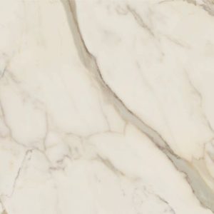 anima future 120x278 1 min