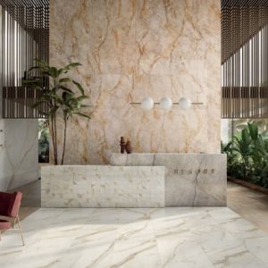 anima future 120x278 2 min