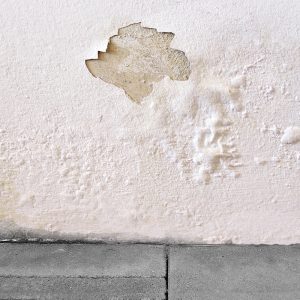 Διάλυμα εμποτισμού κατά της υγρασίας SurfaPore RD Nanophos 2 min