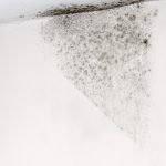 Καθαριστικό κατά της μούχλας DeSalin AM NanoPhos 2