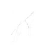 Πλακάκι Porcellanato 60x120 Livorno Gris με γκρι marble look