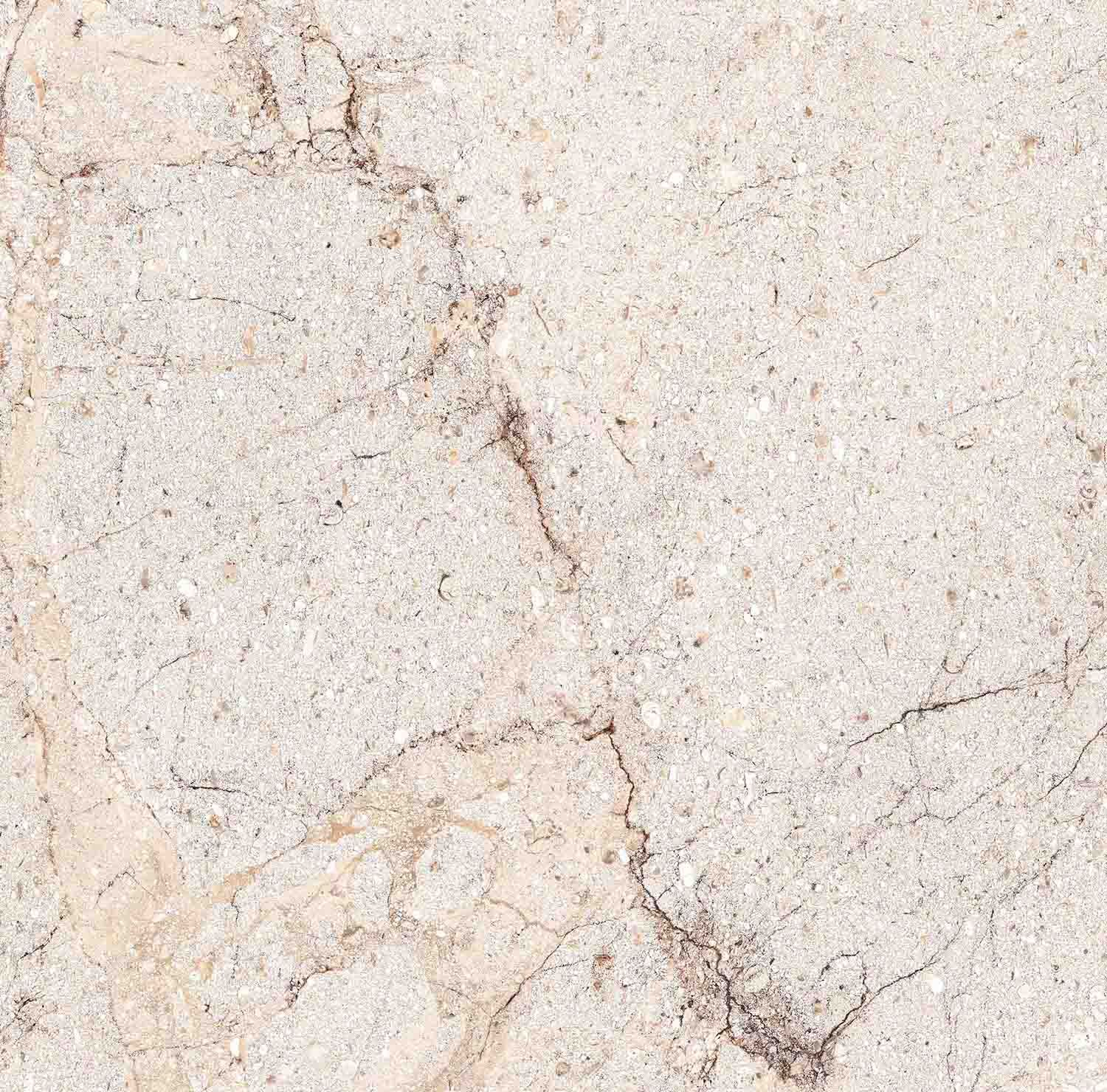 Πλακάκι Porcellanato 60.6×60.6 Acropolis Bone