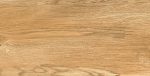 Πλακάκι Porcellanato 30.3×60.6 Galante Brown - Image 6