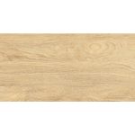 Πλακάκι Porcellanato 30.3×60.6 Leonardo Natural - Image 5