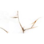 Πλακάκι Porcellanato 30×60, 60×60, 60×120 Moonlight Beige - Image 11