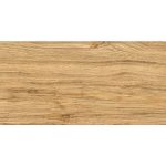 Πλακάκι Porcellanato 30.3×60.6 Neroni Brown - Image 3