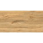 Πλακάκι Porcellanato 30.3×60.6 Neroni Brown - Image 4