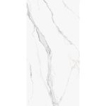 Πλακάκι Porcellanato 60×120 Isabella Silver με όψη μαρμάρου